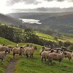 Wensleydale Halls * לייבורן