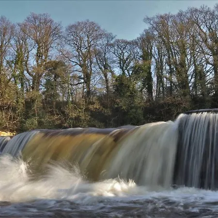 公寓 Wensleydale Halls *